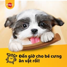 Thumbnail Pedigree Schmackos Bánh thưởng dạng que cho chó con - vị Sữa và Trứng - 70g 1