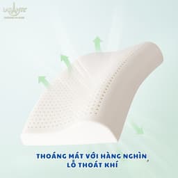 Thumbnail Gối Cao Su Tự Nhiên 10 Cm Lasante (Kèm Vỏ) Massage Cổ Vai Gáy Giúp Cải Thiện Giấc Ngủ 40*60 Cm 3