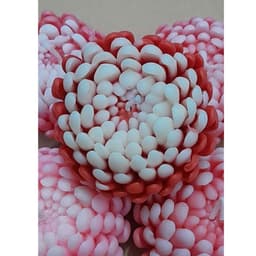 Thumbnail Bộ 2 Cốc xi măng thạch cao đựng nến sáp ong không mùi hình hoa cúc bất tử màu đỏ/hồng loại lớn 8cm dùng cúng dường, sinh 1