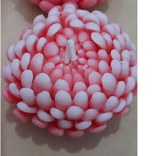 Ảnh Bộ 2 Cốc xi măng thạch cao đựng nến sáp ong không mùi hình hoa cúc bất tử màu đỏ/hồng loại lớn 8cm dùng cúng dường, sinh 2