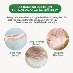 Thumbnail 3 Mặt Nạ THE FACE SHOP Phục Hồi Da Real Nature Charcoal Face Mask 20g 2