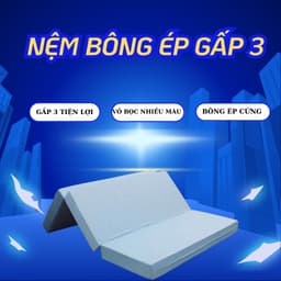 Thumbnail Nệm Bông Ép Gấp 3 Edena, vỏ nệm màu ngẫu nhiên, nệm phẳng giải pháp tối ưu cho cột sống 2