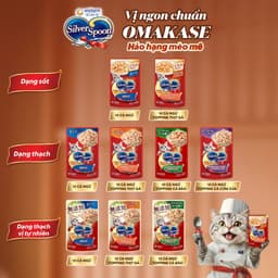 Thumbnail Thức ăn ướt cho mèo Silver Spoon dạng sốt/dạng thạch 60g/gói 2