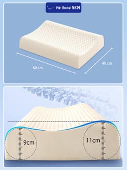Thumbnail Ruột Gối Ngủ Cao Su Non He thong NEM Cao Cấp Ruột Gối Nằm Ngủ Công Thái Học Massage Chống Ngáy Giảm Đau Mỏi Cổ Vai Gáy 2