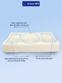 Thumbnail Ruột Gối Ngủ Cao Su Non He thong NEM Cao Cấp Ruột Gối Nằm Ngủ Công Thái Học Massage Chống Ngáy Giảm Đau Mỏi Cổ Vai Gáy 3