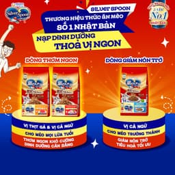 Thumbnail Combo Thức ăn hạt  Silver Spoon - Vị gà, cá (1kg/800g) & Súp Thưởng Thìa 40G/gói (vị ngẫu nhiên) 3