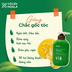 Thumbnail Dầu Gội Thảo Dược Cỏ Cây Hoa Lá Gừng Sả Kích Mọc Tóc, Hỗ Trợ Giảm Bết Dầu 500g 3