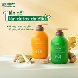 Thumbnail Combo Dầu Gội Xả Thảo Dược Gừng Sả Cỏ Cây Hoa Lá Ngăn Tóc Bết Dầu 500g 3