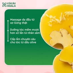 Thumbnail Combo Dầu Gội Xả Thảo Dược Gừng Sả Cỏ Cây Hoa Lá Ngăn Tóc Bết Dầu 500g 4