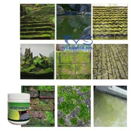Thumbnail Bột tẩy rong rêu TVS 500 gam mẫu mới 2024, tẩy rêu nền xi măng, gạch, ngói, khử trùng khử khuẩn 3