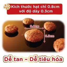 Thumbnail [PET GIFT] Combo 2 Thức ăn hạt cho mèo Silver Spoon - Vị Cá ngừ - Gói Mini 40g 1