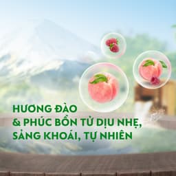 Thumbnail Sữa Tắm Dettol Hương Đào & Phúc Bồn Tử 950g 1