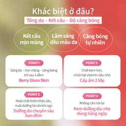 Thumbnail Kem Dưỡng Ban Đêm hince Kingsberry Vita Night Cream 3