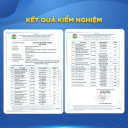 Thumbnail Thực Phẩm Dinh Dưỡng HIUP [COMBO 10 LON] Tăng Chiều, Cao Tăng Cân Cho Trẻ Từ 2 Đến 15 Tuổi Từ Hoa Kỳ - Lon 650g 3