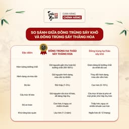Thumbnail Đông trùng hạ thảo tự nhiên sấy thăng hoa Triệu Gia tăng cường sức khỏe cải thiện lão hóa sợi gãy - Lọ 35gr, 50gr. 3
