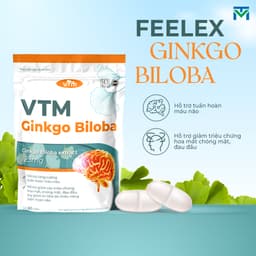 Thumbnail Viên uống bổ não VTM Ginkgo Biloba cải thiện trí nhớ tăng cường tư duy - túi 60 viên 1