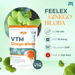 Thumbnail Viên uống bổ não VTM Ginkgo Biloba cải thiện trí nhớ tăng cường tư duy - túi 60 viên 2