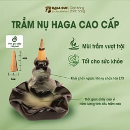 Thumbnail NHANG TRẦM NỤ HAGA NGỌT ĐẬM, THÍCH HỢP BIẾU TẶNG, LỄ PHẬT, THỜI GIAN CHÁY LÊN ĐẾN 30’- 24 NỤ 1
