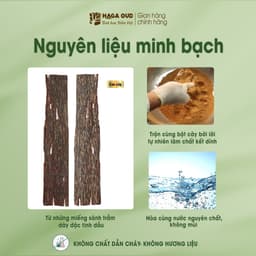 Thumbnail NHANG TRẦM NỤ HAGA NGỌT ĐẬM, THÍCH HỢP BIẾU TẶNG, LỄ PHẬT, THỜI GIAN CHÁY LÊN ĐẾN 30’- 24 NỤ 2