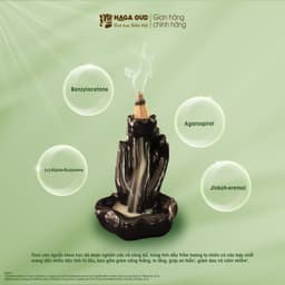 Thumbnail NHANG TRẦM NỤ HAGA NGỌT ĐẬM, THÍCH HỢP BIẾU TẶNG, LỄ PHẬT, THỜI GIAN CHÁY LÊN ĐẾN 30’- 24 NỤ 3