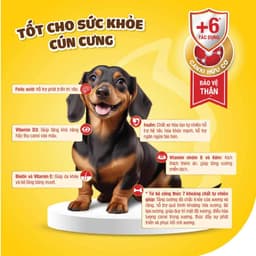 Thumbnail Dr.Kyan - Sữa bột PREDOGEN GOLD cho chó lon 400g - DrKyan 2