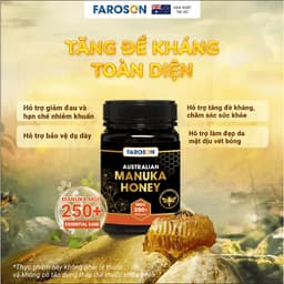 Thumbnail Mật Ong Nguyên Chất Hoa Manuka Úc MGO250+ Essential Care Hộp 250g/500g 2