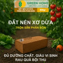 Thumbnail Đất Trồng Cây GreenHome, Viên Nén 800gr, Trộn Sẵn Phân Bón, Nở Gấp 5 Lần, Trồng Rau Hoa Cây Kiểng 2