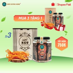 Thumbnail Combo 3 Tặng 1 Đông Trùng Hạ Thảo Khô Kim Cương Vàng Tăng Cường Đề Kháng (10Gr/Hộp Gỗ) 1