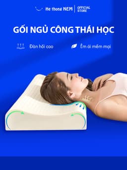Thumbnail Ruột Gối Ngủ Cao Su Non He thong NEM Cao Cấp Ruột Gối Nằm Ngủ Công Thái Học Massage Chống Ngáy Giảm Đau Mỏi Cổ Vai Gáy 1