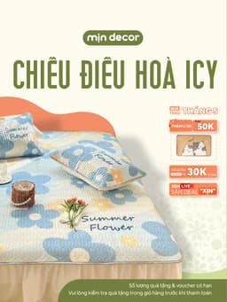 Thumbnail Chiếu Điều Hoà Cao Su Non Icy Mịn Decor Chống Nóng Lưng Kèm 2 Vỏ Gối Mềm Mát 1