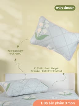 Thumbnail Chiếu Điều Hoà Cao Su Non Icy Mịn Decor Chống Nóng Lưng Kèm 2 Vỏ Gối Mềm Mát 2