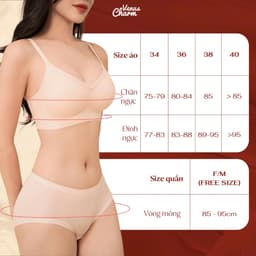 Thumbnail Quần lót gen bụng không viền Venus Charm chất liệu cotton gỗ sồi mịn không đường may 08959 4