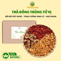 Thumbnail Trà đông trùng hạ thảo long nhãn tứ vị Camifarm đẹp da, bồi bổ sức khỏe, tăng cường sinh lý, dễ ngủ 1