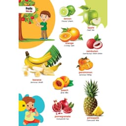 Thumbnail Sách - Bách Khoa Hình Ảnh Đầu Tiên Cho Bé Từ 0-6 Tuổi - Song Ngữ Việt Anh 3