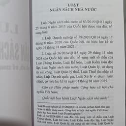 Thumbnail Sách - Luật ngân sách nhà nước (NXB Lao Động) 1