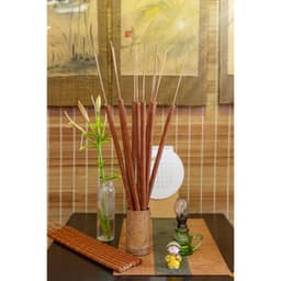 Thumbnail Nhang Sào Quế 58cm - Hương Quế Trà Bồng Quảng Ngãi 500gram 3