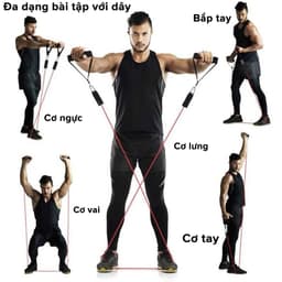 Thumbnail Bộ 5 Dây Kháng Lực Dây Đàn Hồi Ngũ Sắc Tập Thể Hình Tập Gym Toàn Thân Đa Năng Chống Đứt Móc Sắt Chính Hãng Amalife 4