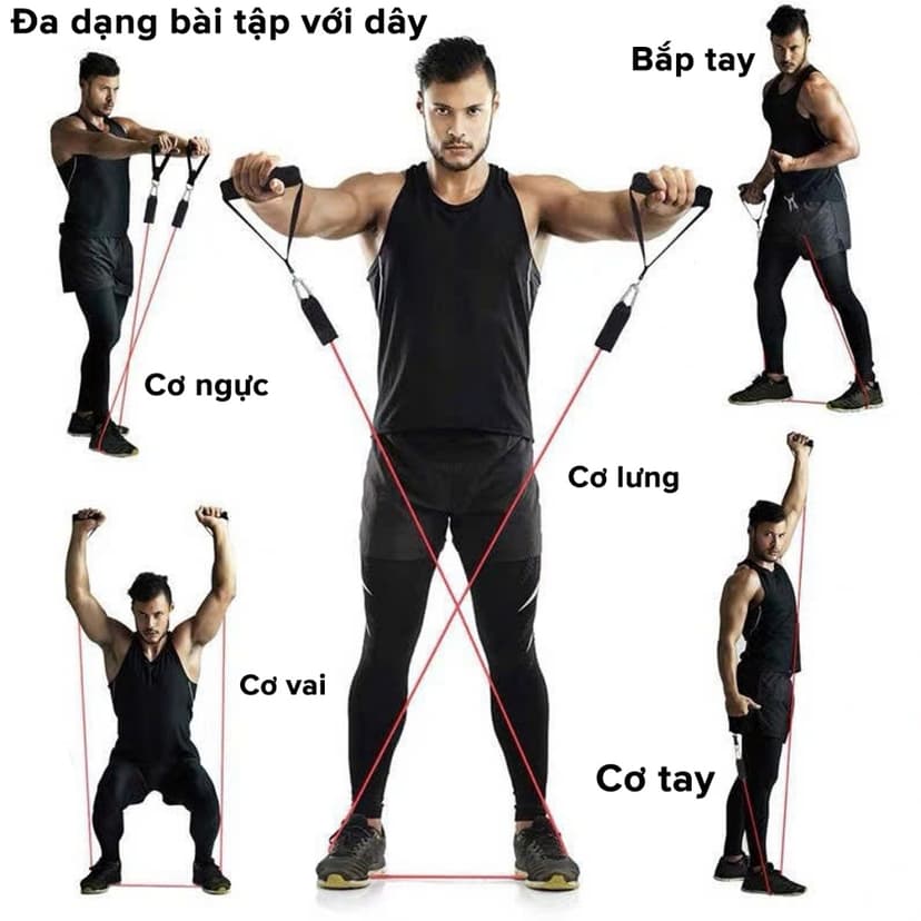 Ảnh Bộ 5 Dây Kháng Lực Dây Đàn Hồi Ngũ Sắc Tập Thể Hình Tập Gym Toàn Thân Đa Năng Chống Đứt Móc Sắt Chính Hãng Amalife 4