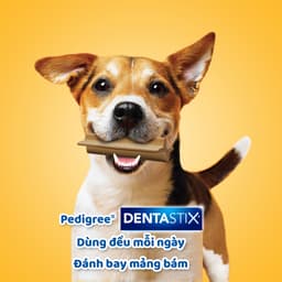 Thumbnail Bánh Xương Chăm Sóc Răng cho Chó Trung PEDIGREE Dentastix (3 Túi, 98g) 2
