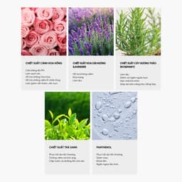 Thumbnail Nước Hoa Hồng Toner Volayon Lotionique 500ml/100ml 3
