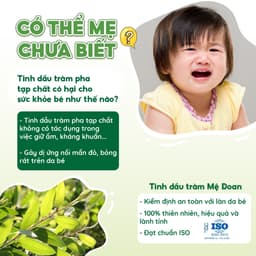 Thumbnail Tinh dầu tràm cho bé, nguyên chất, giữ ấm. Tinh dầu tràm gió Mệ Đoan cho bé sơ sinh 50ml 4