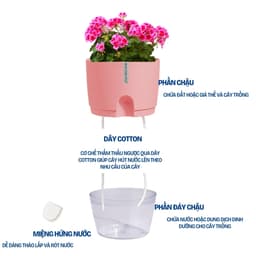 Thumbnail Chậu trồng cây tự tưới Monrovia A7, chất liệu PP, trông cây cảnh, hoa, decor nhà, bàn làm việc 2