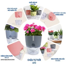 Thumbnail Chậu trồng cây tự tưới Monrovia A7, chất liệu PP, trông cây cảnh, hoa, decor nhà, bàn làm việc 1