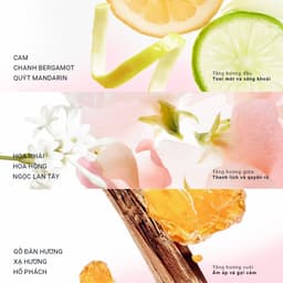 Thumbnail Nước hoa cao cấp MOI What Is Love? Phiên bản giới hạn 50ml 2