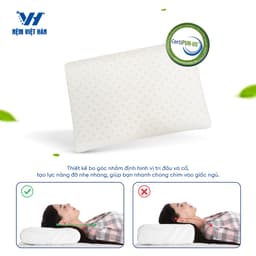 Thumbnail Gối nằm cao su Việt Hàn Winhome - Nâng Đỡ, Thoáng Khí, Chất Foam Mềm Mại 2