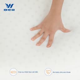 Thumbnail Gối nằm cao su Việt Hàn Winhome - Nâng Đỡ, Thoáng Khí, Chất Foam Mềm Mại 4