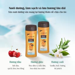 Thumbnail Dầu Gội Xả 2IN1 LILYSTAR Phục Hồi Tóc Chuyên Sâu Chứa Tinh Dầu Nuôi Dưỡng Ẩm Giúp Tóc Mềm Mượt Chai 200ml 2