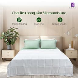 Thumbnail Ruột Chăn Hè Cao Cấp SAMY Chuẩn Khách sạn 5 sao 1