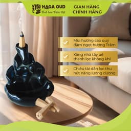 Thumbnail Trầm nụ Haga cao cấp, Đậm ngọt hương trầm, Mùi hương cao quý - 3 NỤ 2