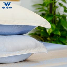 Thumbnail Cặp vỏ áo gối nằm Việt Hàn Tencel - Thoáng mát, Thấm hút mồ hôi, Mẫu ngẫu nhiên 3